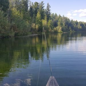 Meet your Posher, Heidi